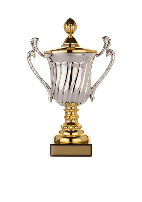 https://hobsonsbaychess.com/wp-content/uploads/2022/11/trophy_02.png