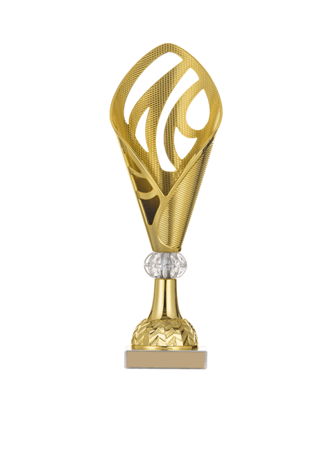 https://hobsonsbaychess.com/wp-content/uploads/2022/11/trophy_03.png