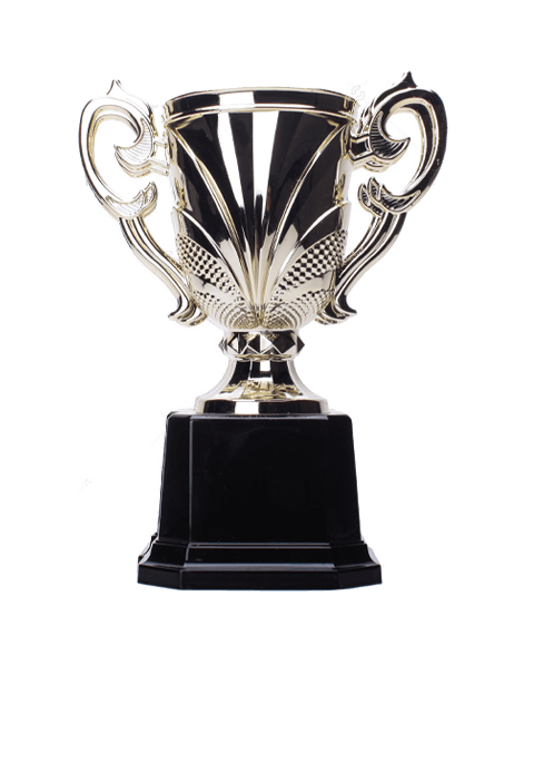 https://hobsonsbaychess.com/wp-content/uploads/2022/11/trophy_04.png