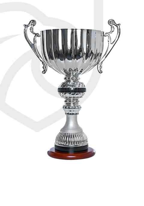 https://hobsonsbaychess.com/wp-content/uploads/2022/11/trophy_overlay_01.jpg