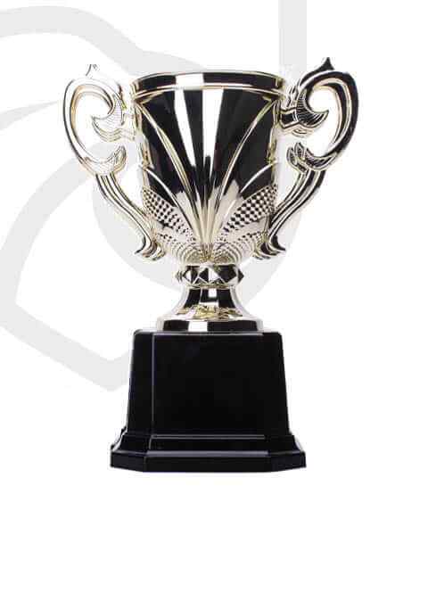 https://hobsonsbaychess.com/wp-content/uploads/2022/11/trophy_overlay_04.jpg
